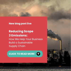 Reducing Scope 3 Emissions: How We Help Your Business Build a Sustainable Supply Chain