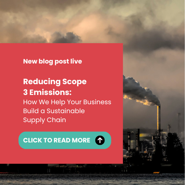 Reducing Scope 3 Emissions: How We Help Your Business Build a Sustainable Supply Chain