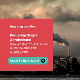 Reducing Scope 3 Emissions: How We Help Your Business Build a Sustainable Supply Chain